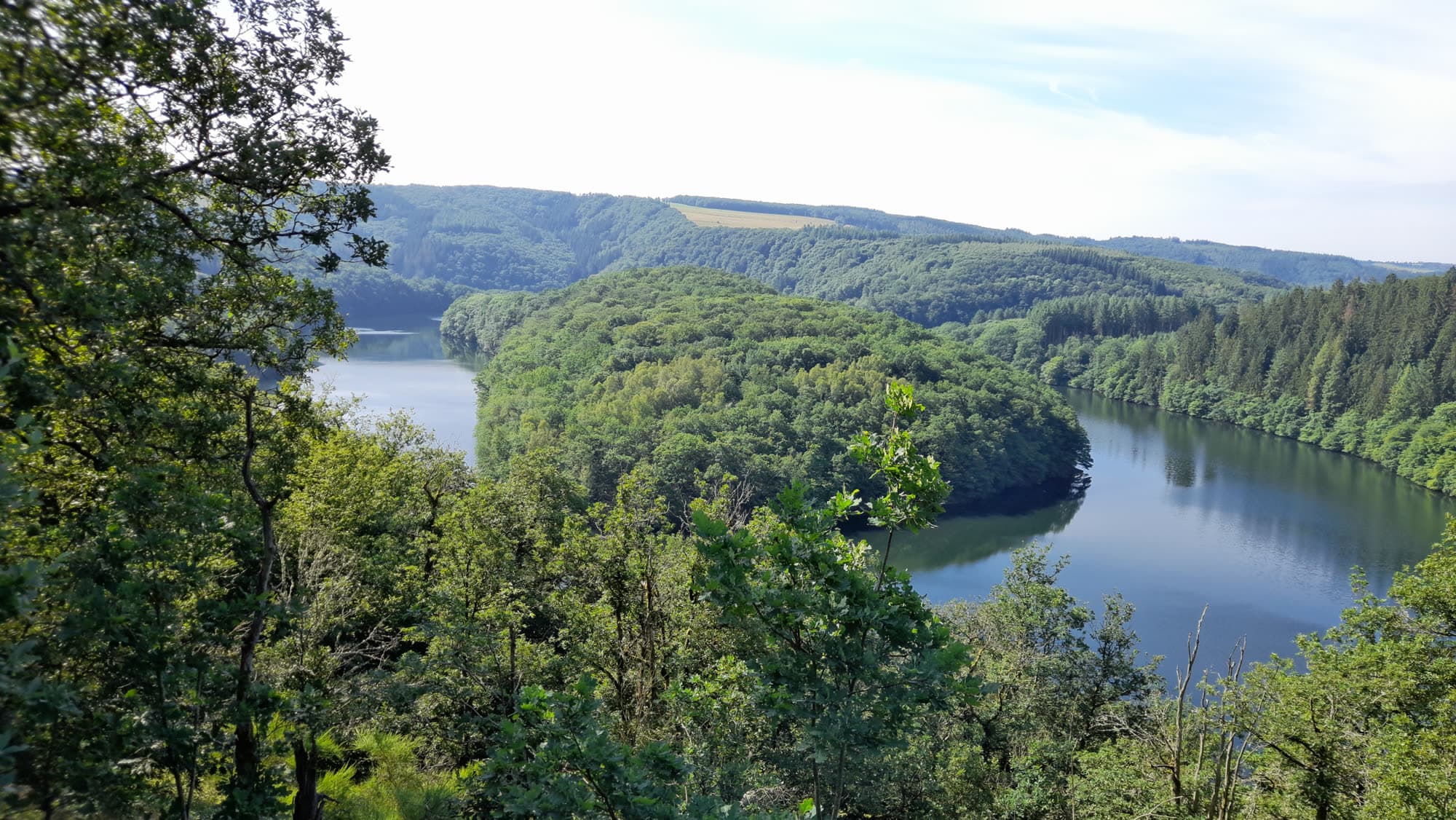 Un méandre du lac de la Haute-Sûre entre les collines boisées, vu depuis la forêt