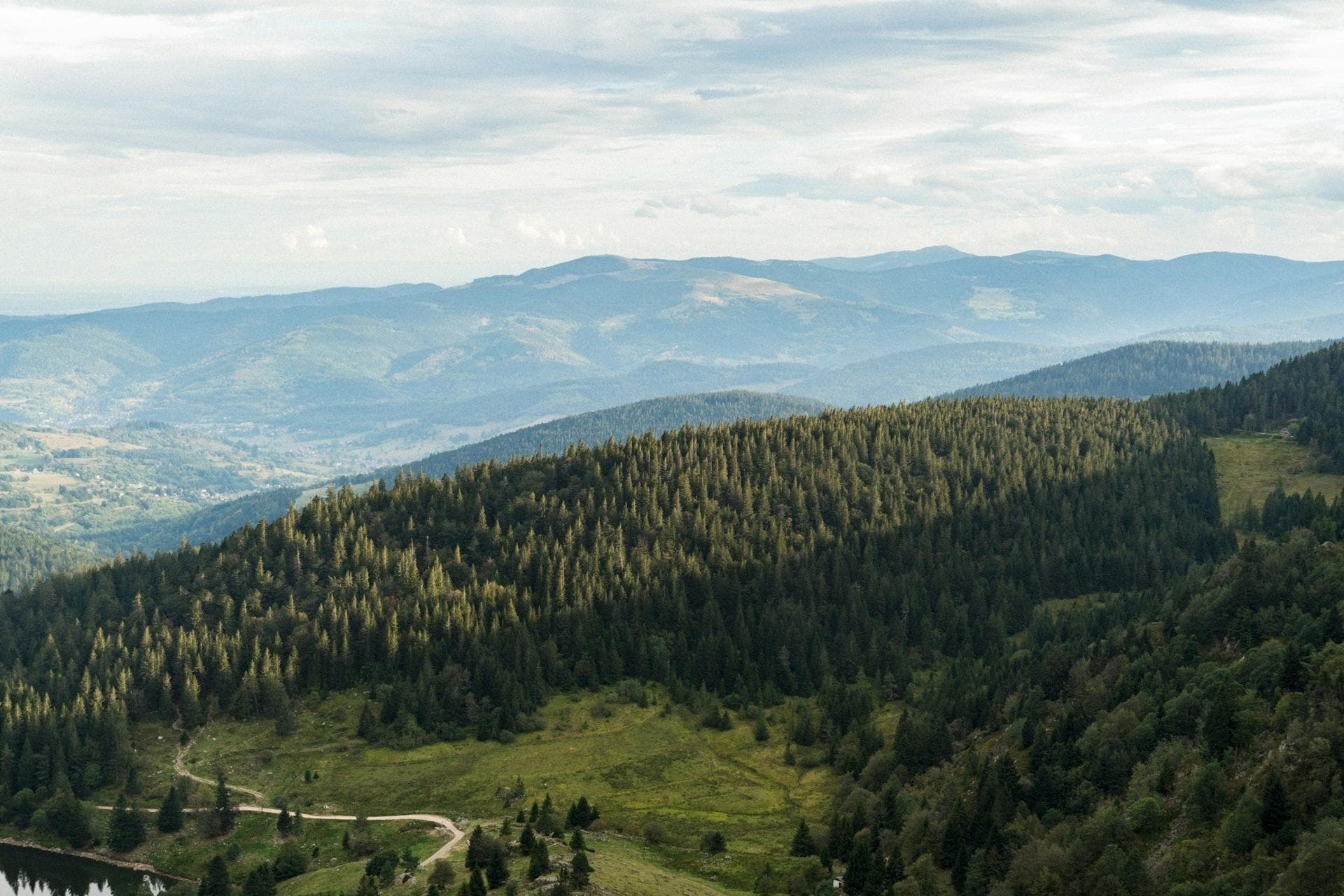 Les crêtes des Hautes-Vosges en été, forêts et lignes de sommets